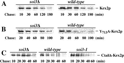 Figure 10.