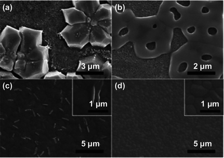 Fig. 22