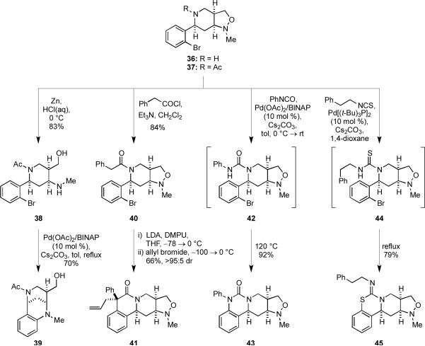 Scheme 7