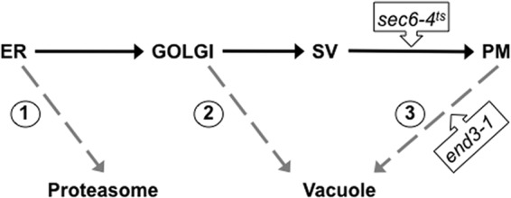 FIG 6