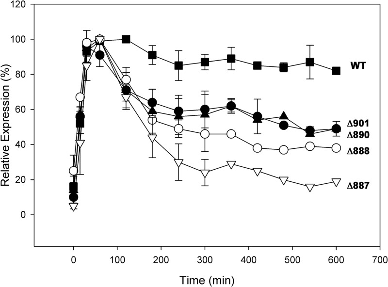 FIG 4