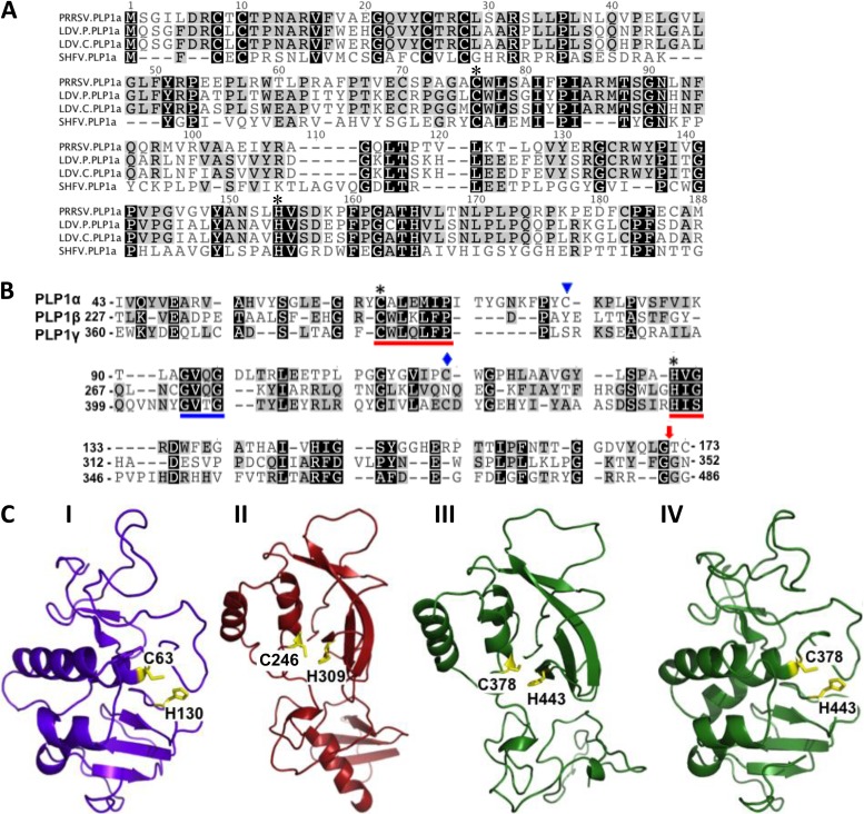 FIG 1