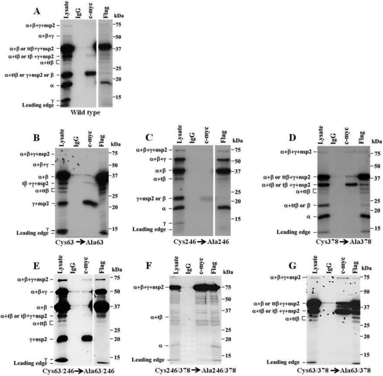 FIG 3