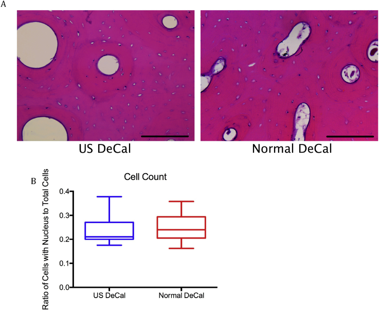 Figure 6