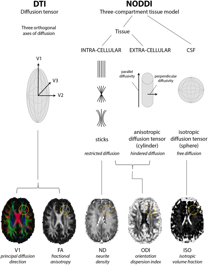 Figure 7: