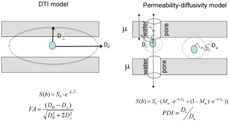 Figure 6: