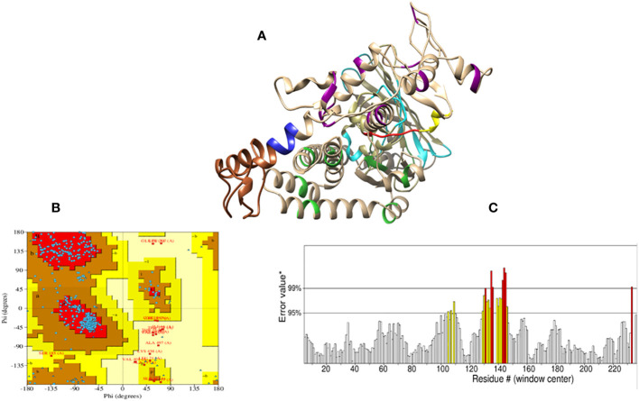 Figure 6