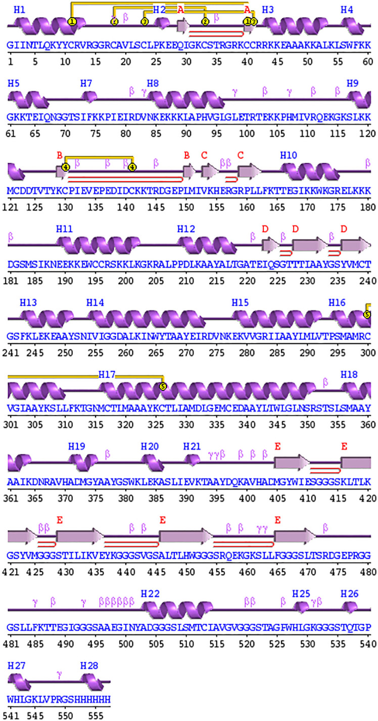 Figure 5