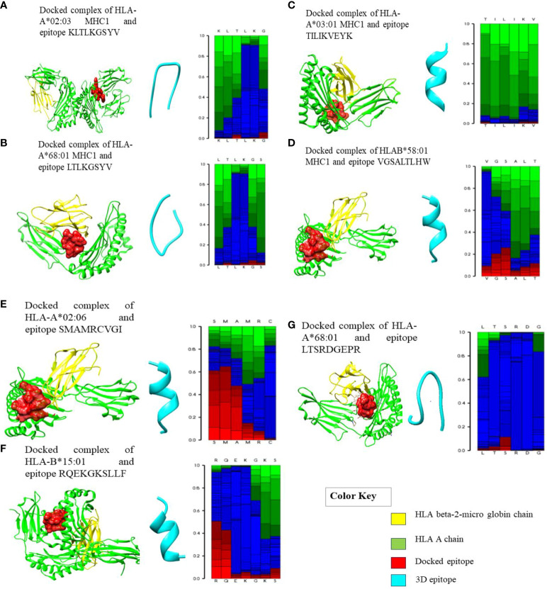 Figure 2