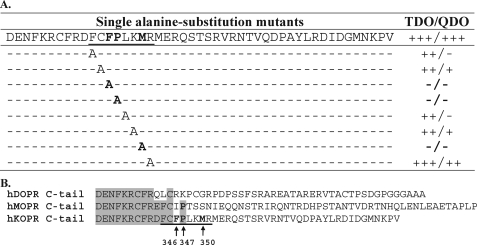 FIGURE 1.