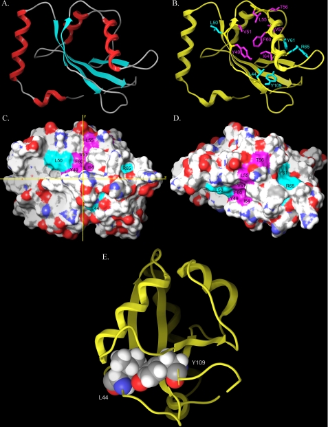 FIGURE 7.