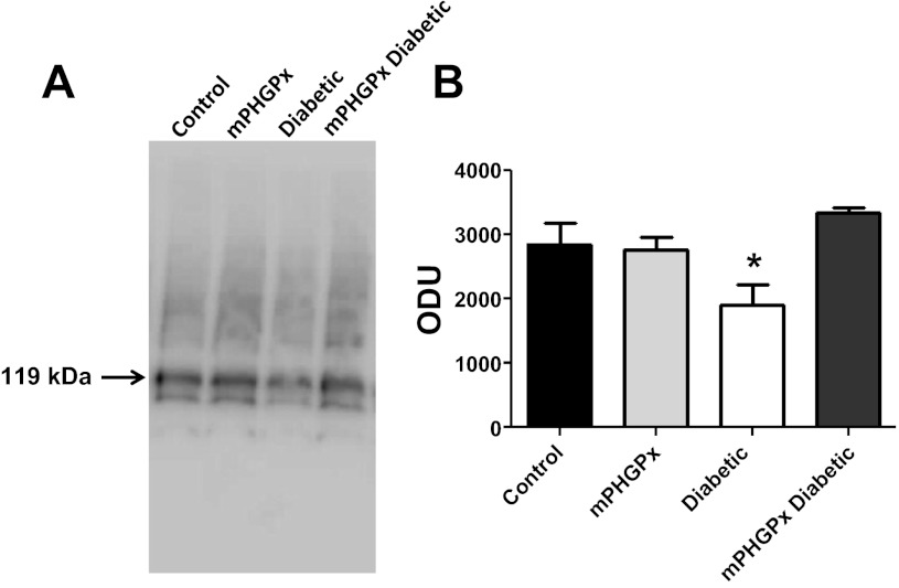 Fig. 9.