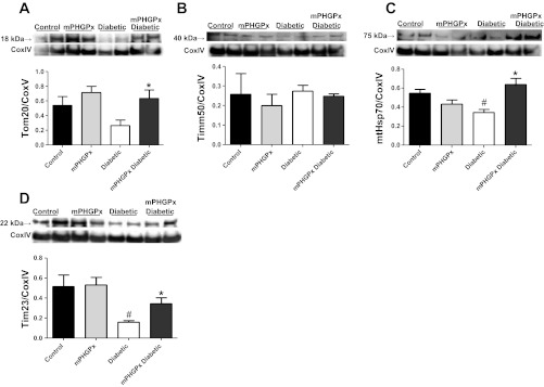 Fig. 8.