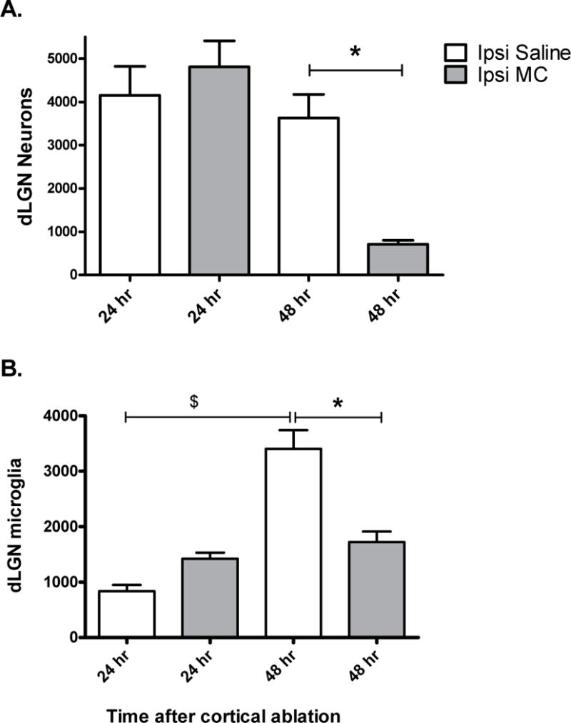 Fig. 8