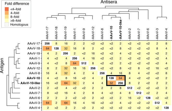 FIG 3