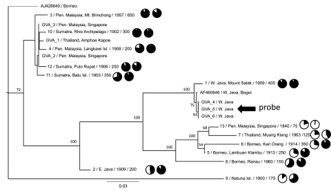 Figure 5.