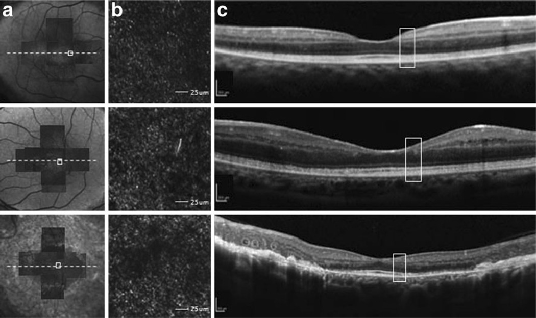 Fig. 7