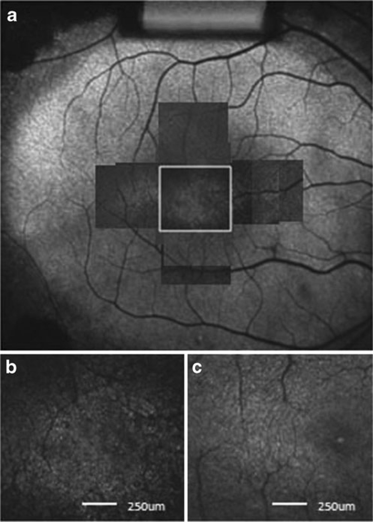 Fig. 5