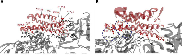 Figure 2 |
