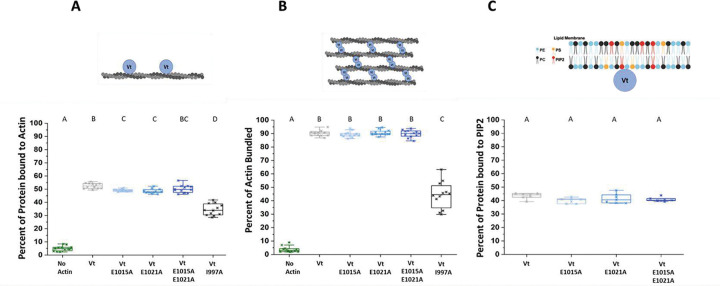 Figure 4 |
