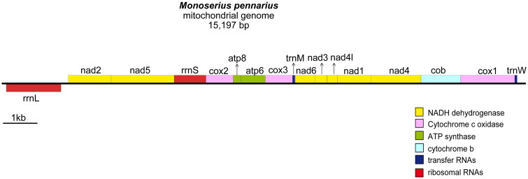 Figure 2.