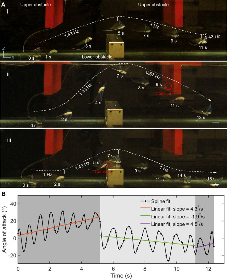 Fig. 7.