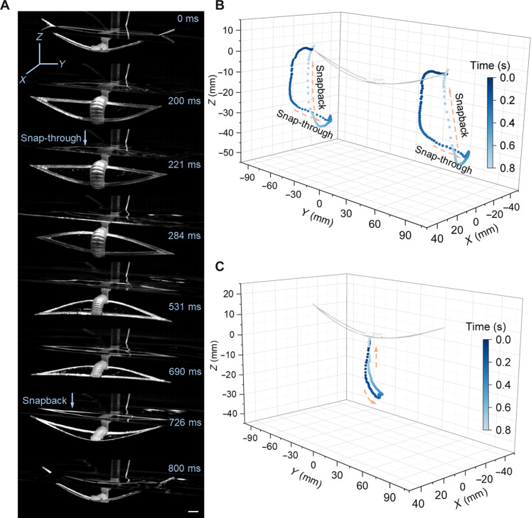 Fig. 4.