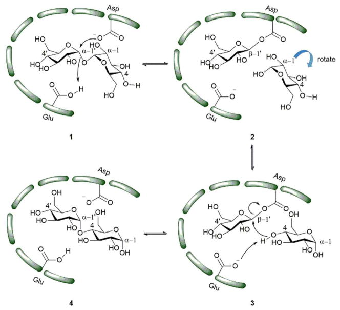 Scheme 2