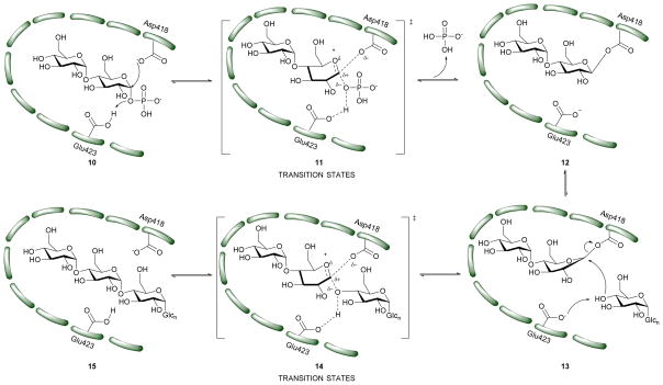 Scheme 3