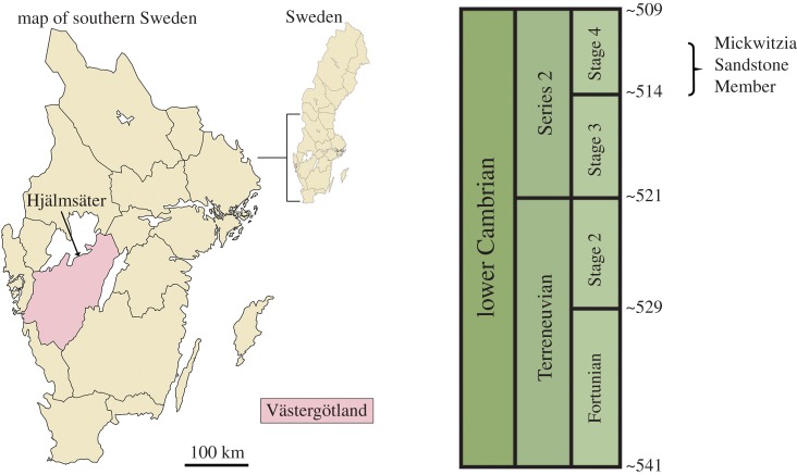 Figure 1.