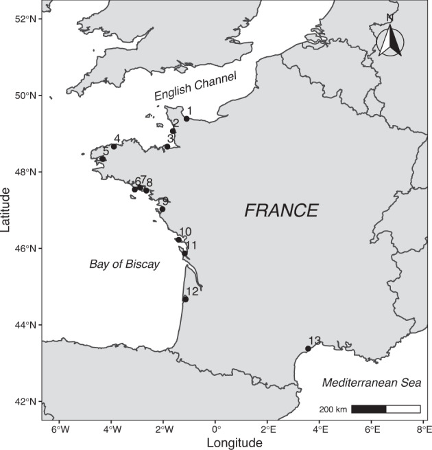 Fig. 1