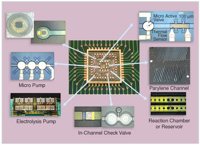 FIGURE 1