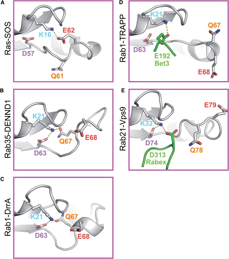 Figure 1.