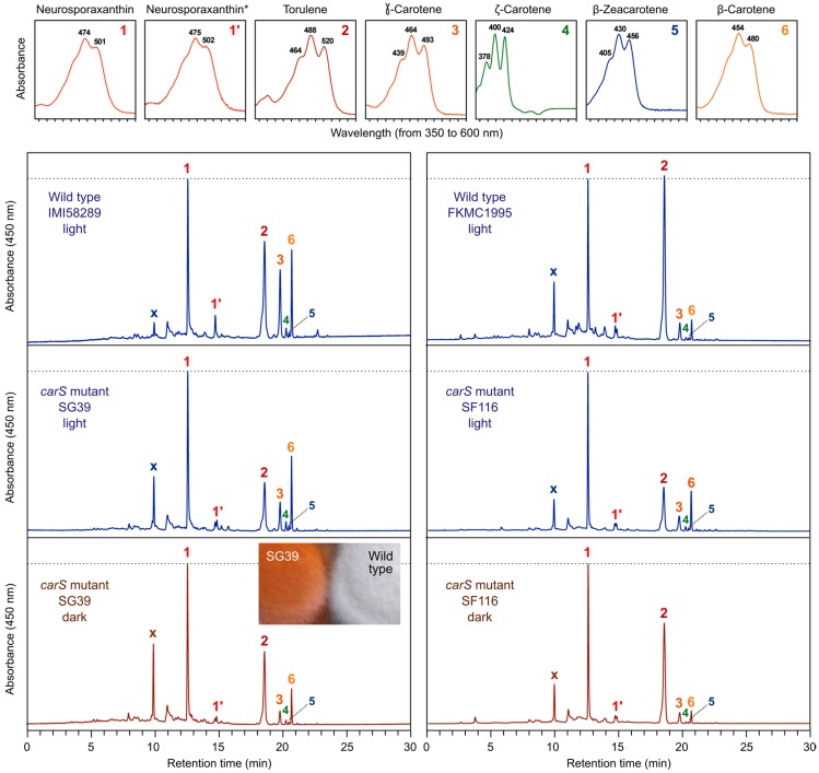 Figure 4