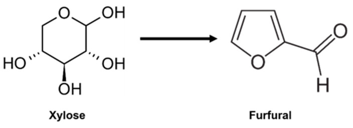 Figure 19