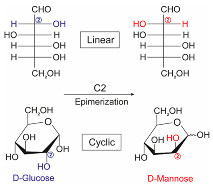 Figure 18