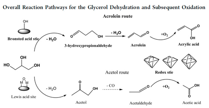 Figure 24