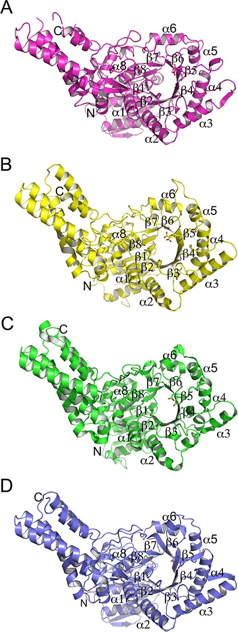 Fig. 3