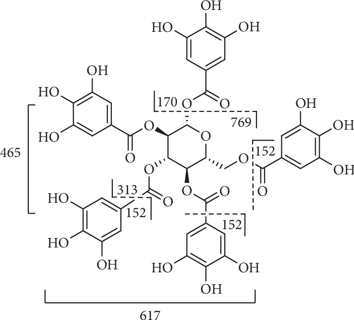 Figure 8