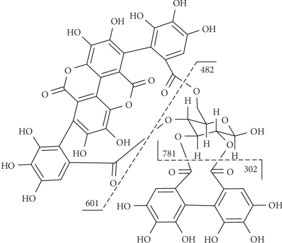 Figure 13