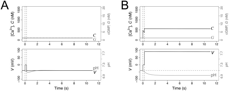 Fig 10