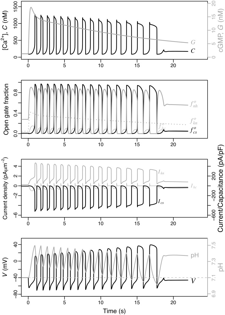 Fig 6