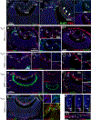 Figure 5: