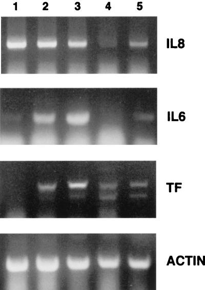 FIG. 6