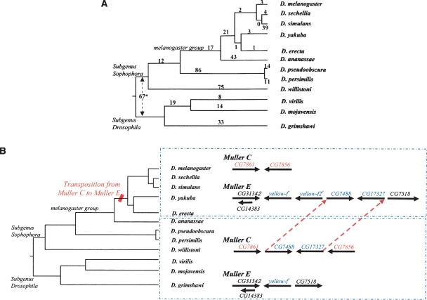 Figure 2.