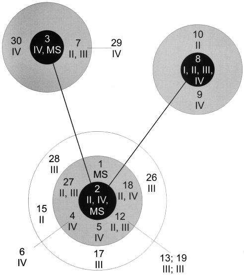 FIG. 2.