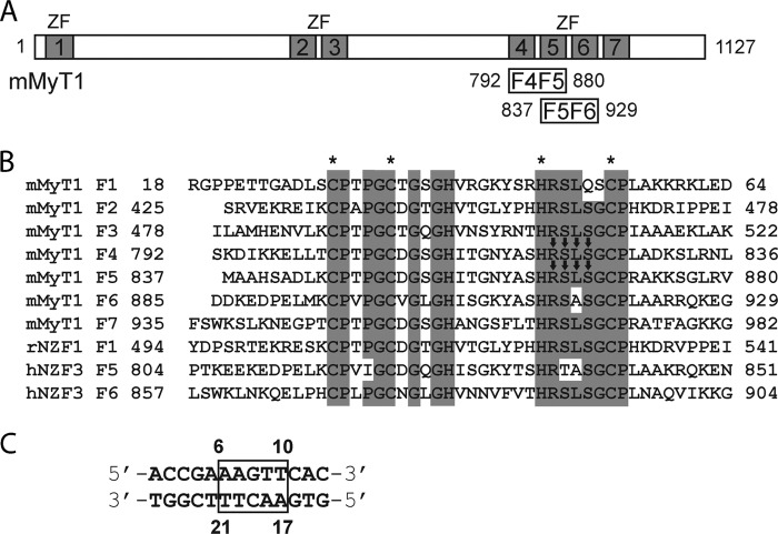 FIGURE 1.