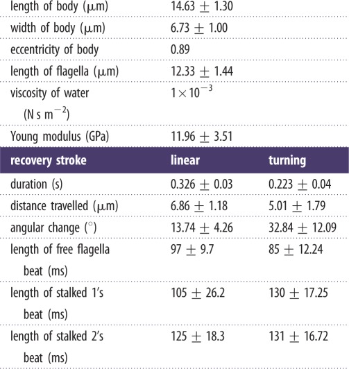 graphic file with name rsif20131149-i1.jpg