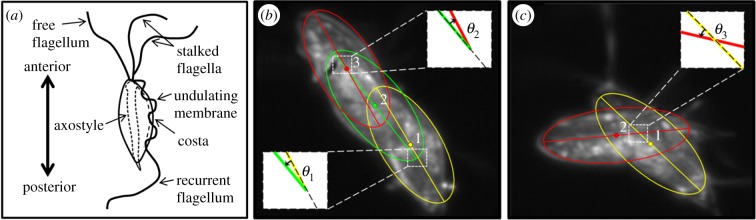 Figure 1.