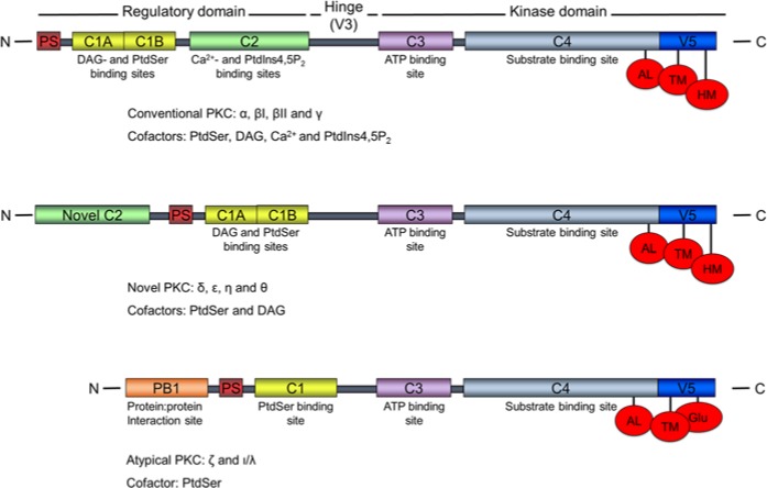 Figure 1.